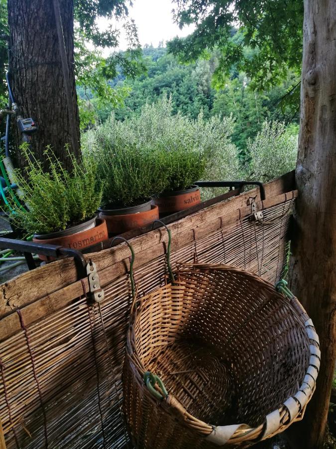 Agriturismo Tananei Marliana Kültér fotó