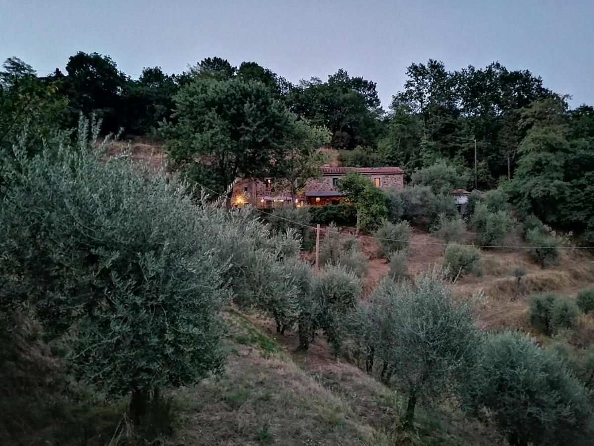 Agriturismo Tananei Marliana Kültér fotó
