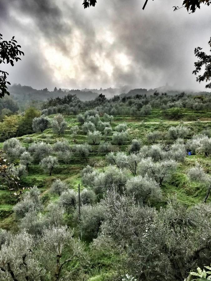 Agriturismo Tananei Marliana Kültér fotó