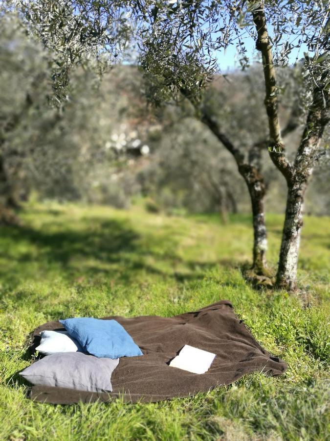 Agriturismo Tananei Marliana Kültér fotó