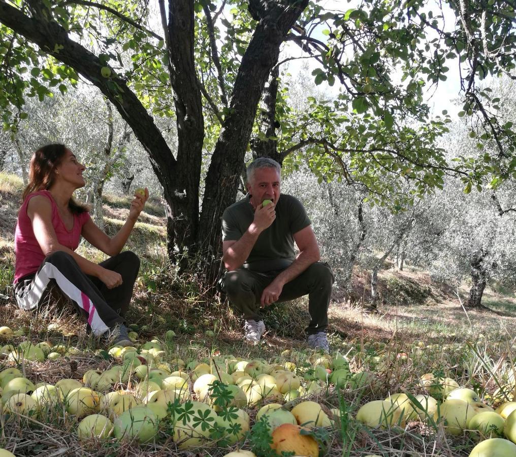 Agriturismo Tananei Marliana Kültér fotó